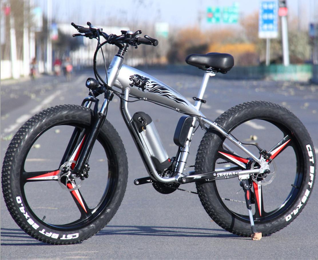 Xe đạp điện bánh béo CASHAD Pin 48V lốp rộng 4.0 