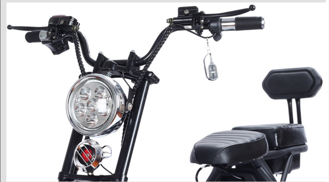 Xe Điện Harley Bánh To (Pin Tháo Lắp)