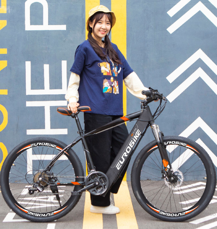 Xe đạp trợ lực điện EUROBIKE Thể thao Pin Đài Loan (Bánh Căm)
