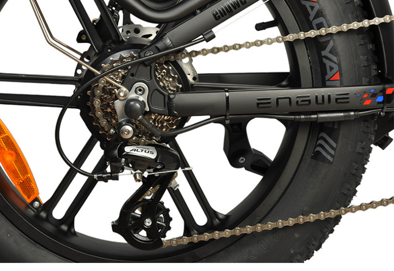 Xe đạp trợ lực điện Engwe Pro 48v750W Gấp gọn Bánh Béo 20inch