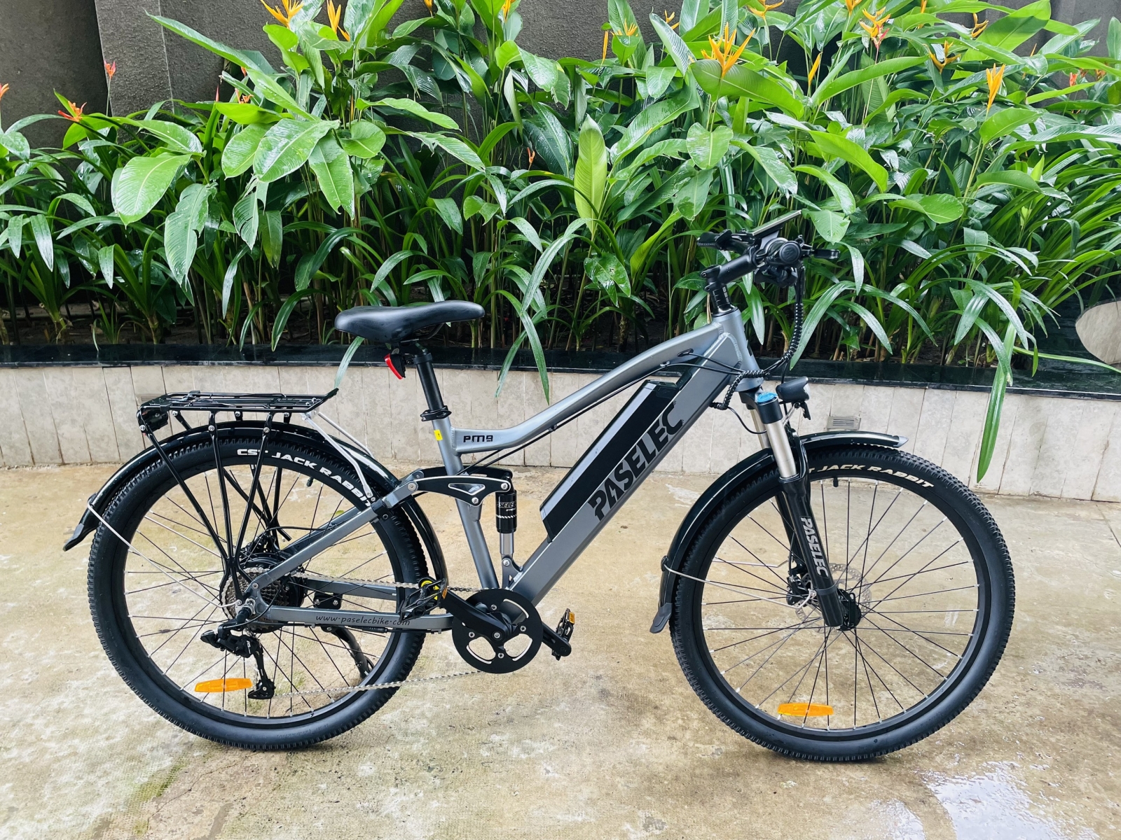 Xe đạp trợ lực điện PASELEC PM9 48V14.5AH 500W BaFang 