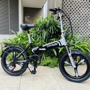 Xe đạp điện trợ lực Zhengbu X6 ( Bạc đen)
