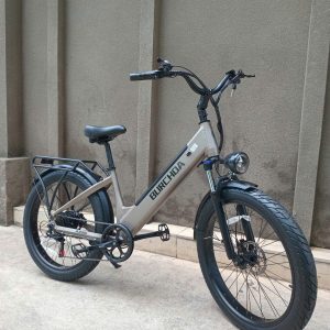 Xe đạp điện trợ lực Burchda AZ26