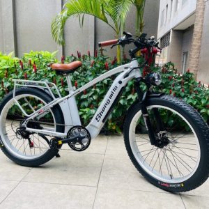 Xe đạp điện trợ lực Shengmilo MX-04