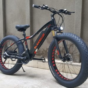 Xe đạp điện trợ lực Fatbike Akez 570