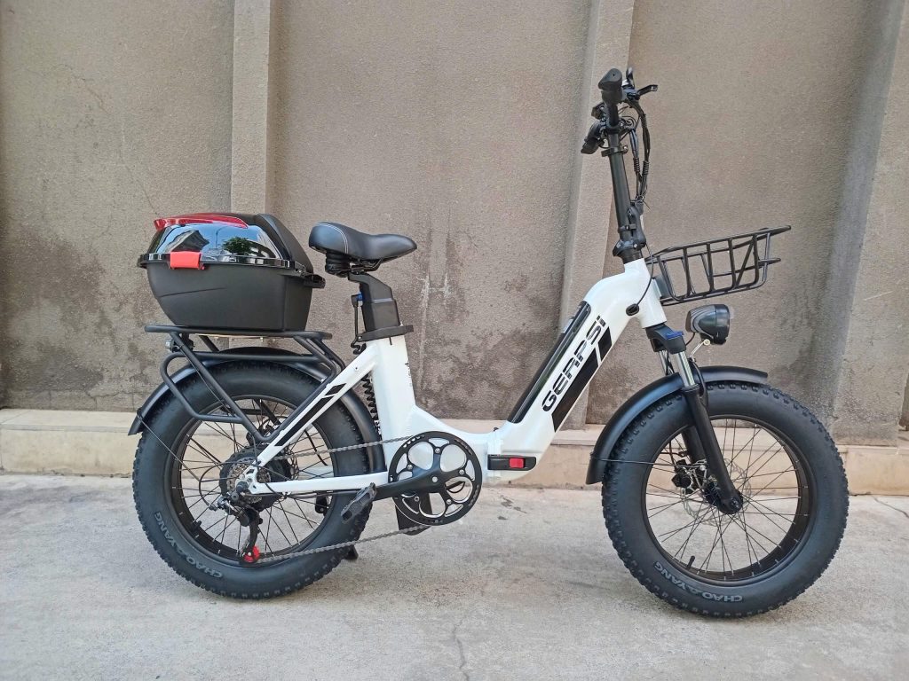 Xe Đạp Trợ Lực Điện GERPSI Dz2027
